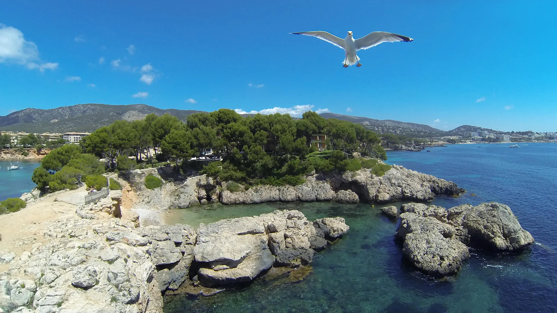 Boutique Hotel H10 Punta Negra Costa D'En Blanes
